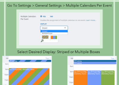 Change Multiple Sub-Calendar Display to Striped or Boxes