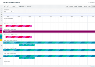 Timeline calendar view with a single day